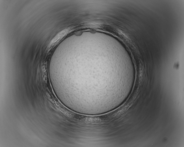 X0000116061354200912111518