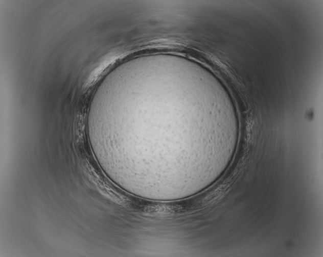 X0000116061355200912111518