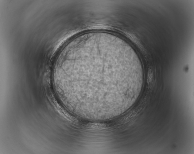 X0000116061356200912111518