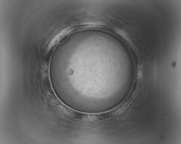 X0000116061357200912111518