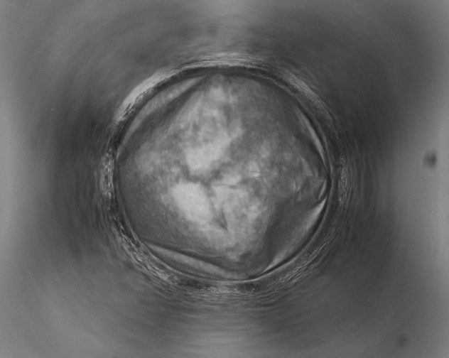 X0000116061358200912111518