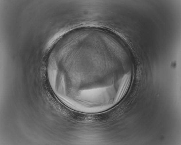 X0000116061359200912111518