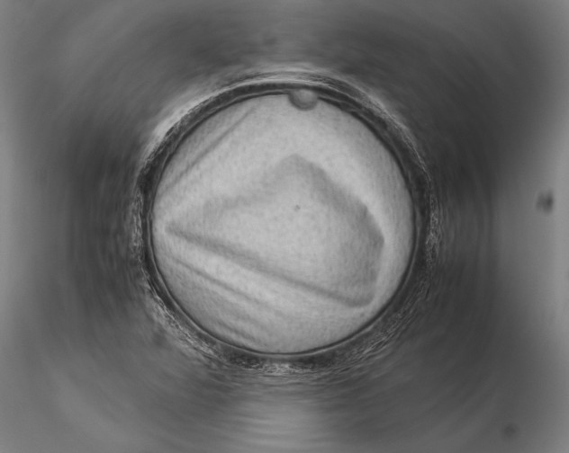 X0000116061360200912111518