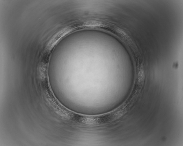 X0000116061361200912111518