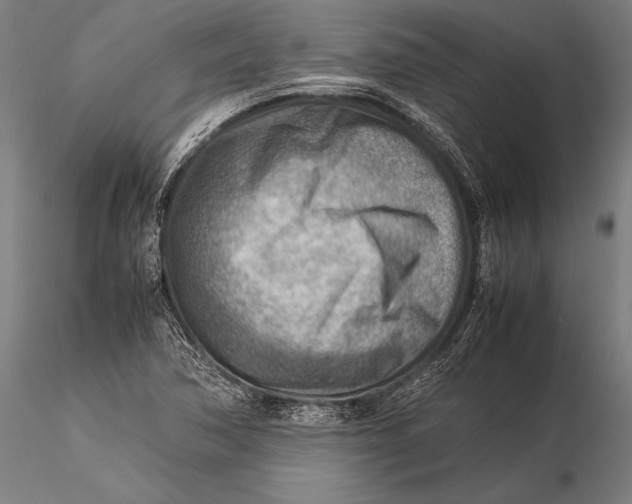 X0000116061362200912111518