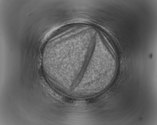 X0000116061363200912111518