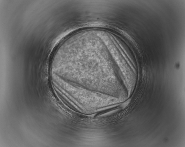 X0000116061364200912111518