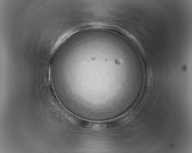 X0000116061365200912111518