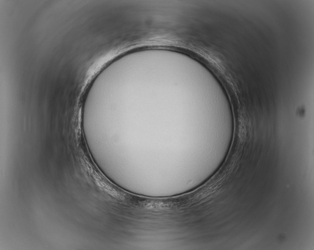 X0000116061366200912111518