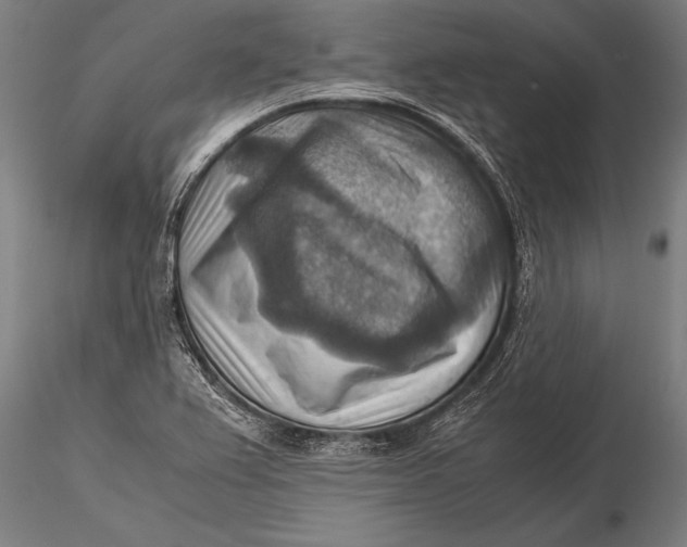 X0000116061367200912111518