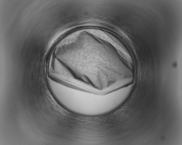 X0000116061368200912111518