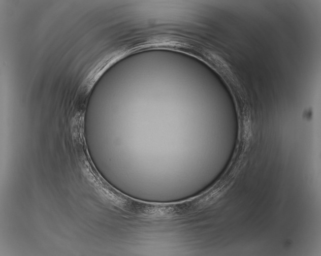 X0000116061369200912111518