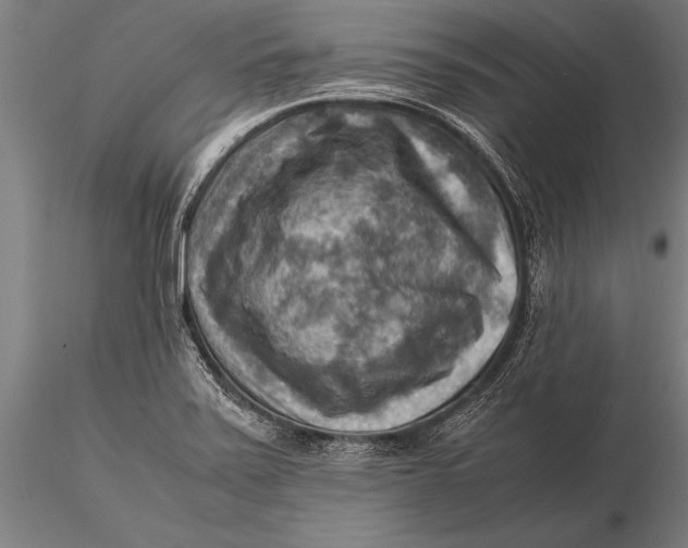 X0000116061371200912111518