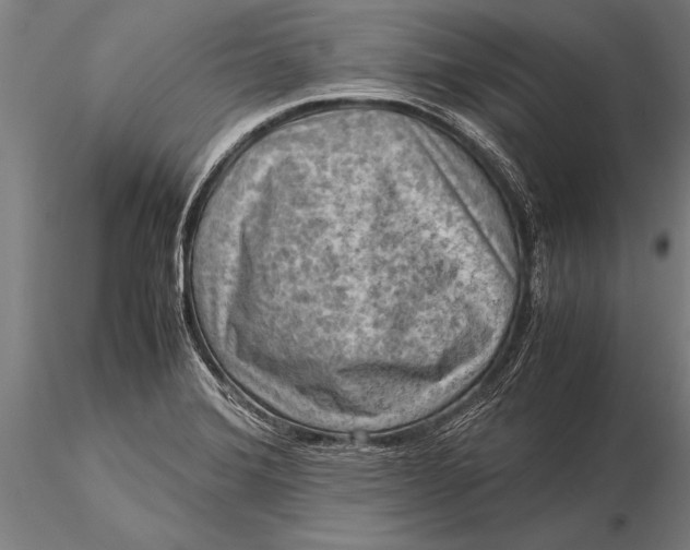 X0000116061372200912111518