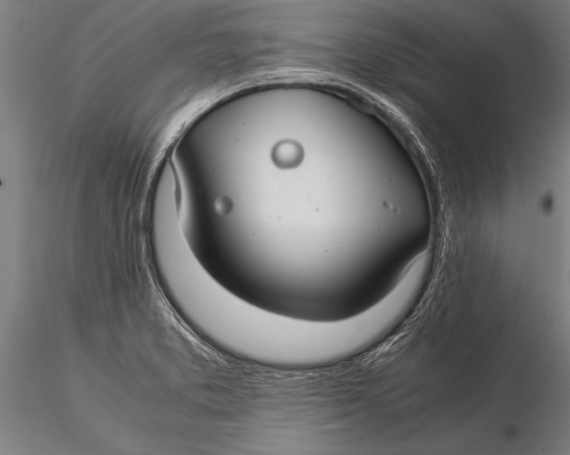 X0000116061373200912111517