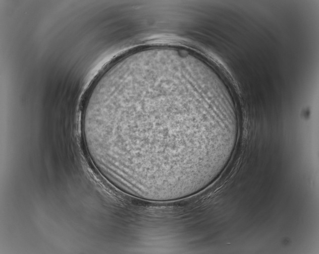 X0000116061376200912111517