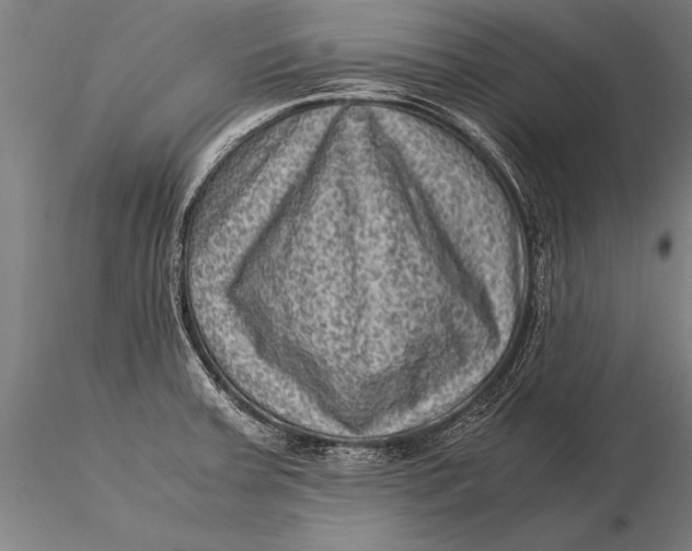 X0000116061379200912111517