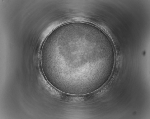 X0000116061381200912111517