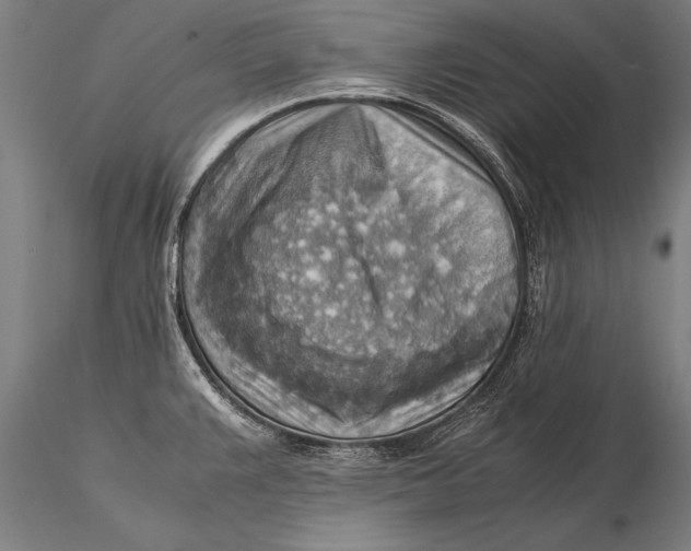 X0000116061383200912111517