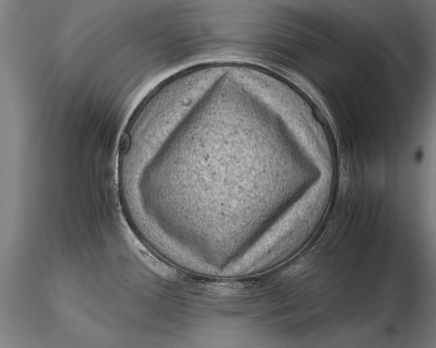 X0000116061388200912111517