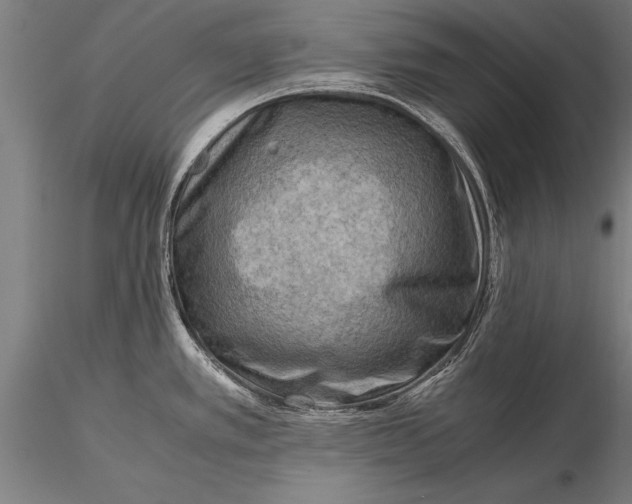 X0000116061389200912111517