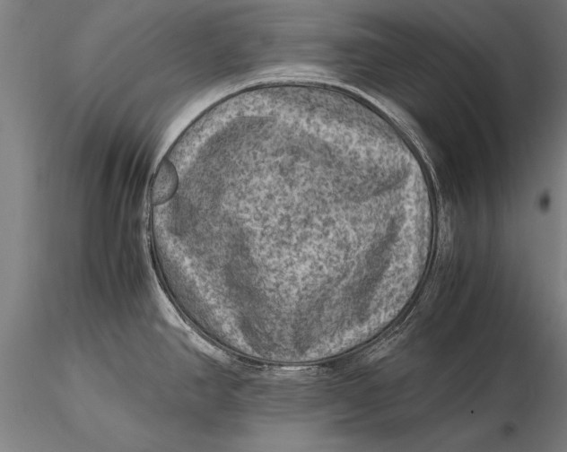 X0000116061390200912111517