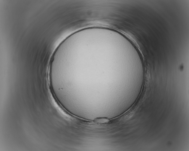 X0000116061391200912111517