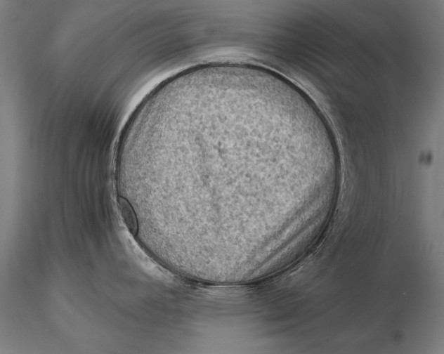 X0000116061392200912111517