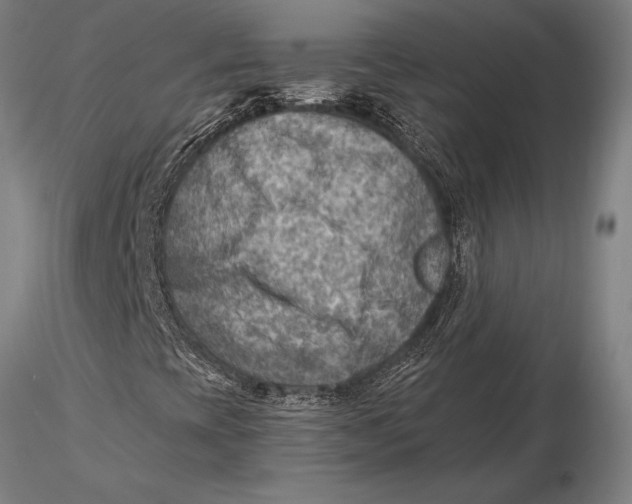 X0000116061393200912111516