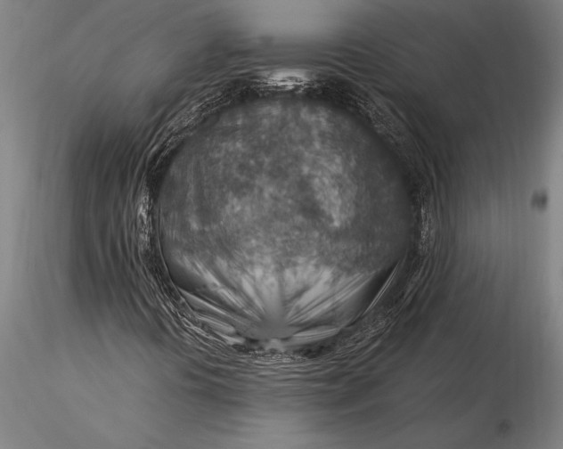 X0000116061394200912111516