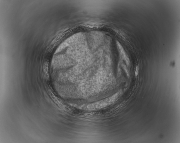 X0000116061396200912111516