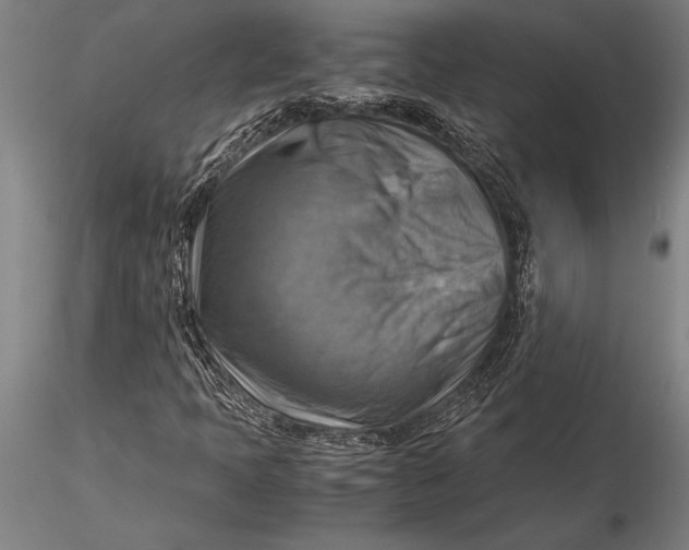 X0000116061397200912111516