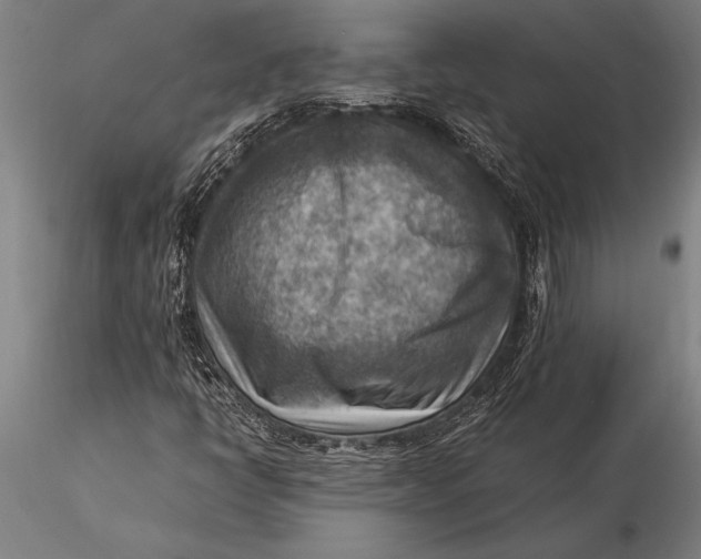 X0000116061398200912111516