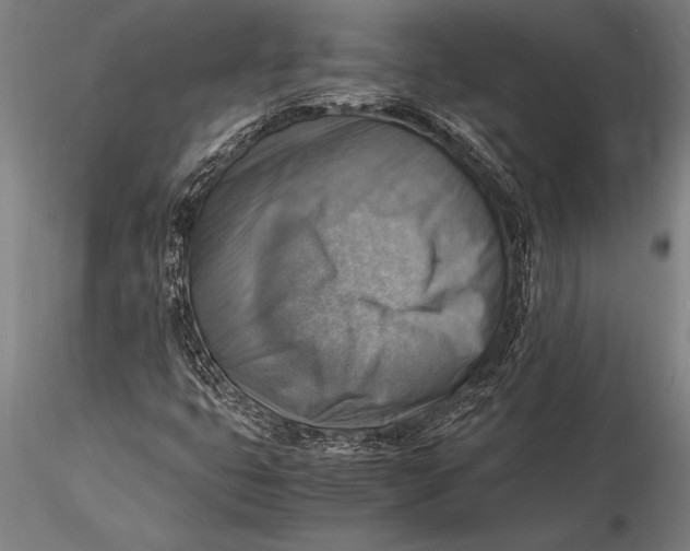 X0000116061399200912111516