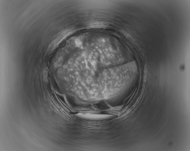 X0000116061401200912111516