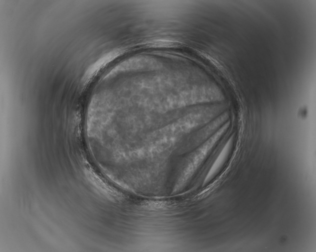 X0000116061402200912111516