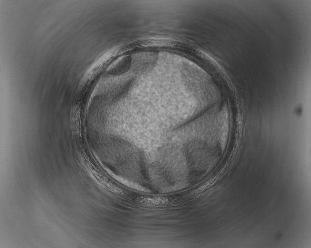 X0000116061403200912111516