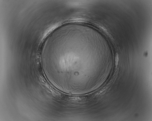 X0000116061405200912111516