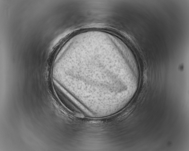 X0000116061406200912111516