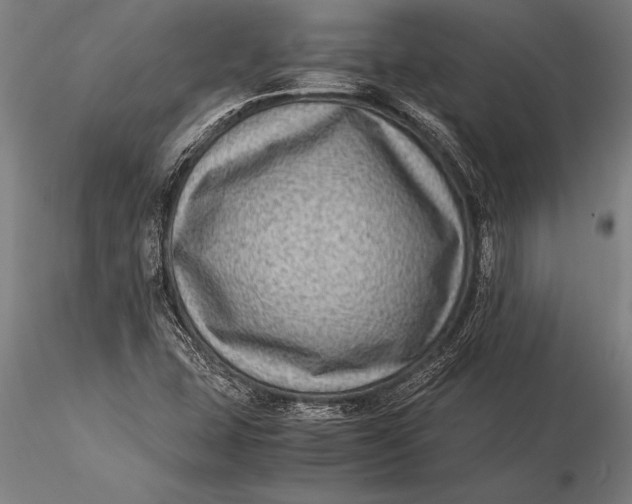 X0000116061407200912111517