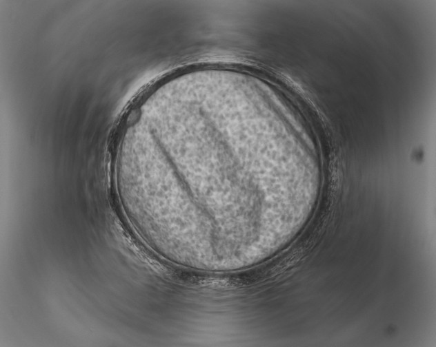 X0000116061408200912111517