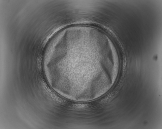 X0000116061409200912111517