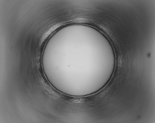 X0000116061410200912111517