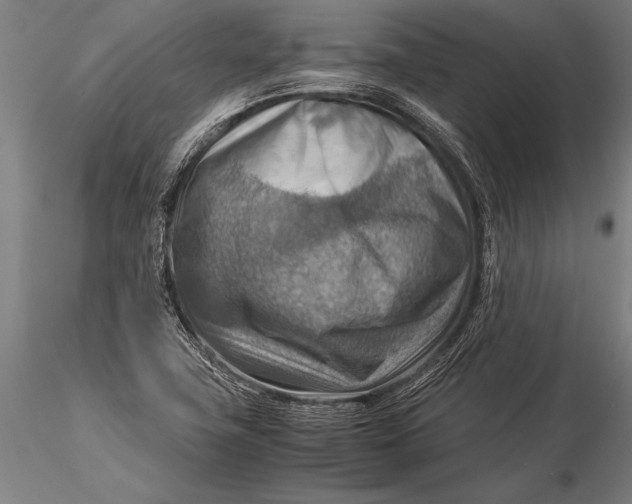 X0000116061411200912111517