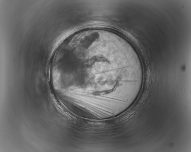 X0000116061413200912111517