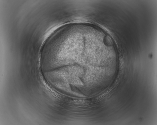 X0000116061415200912111517