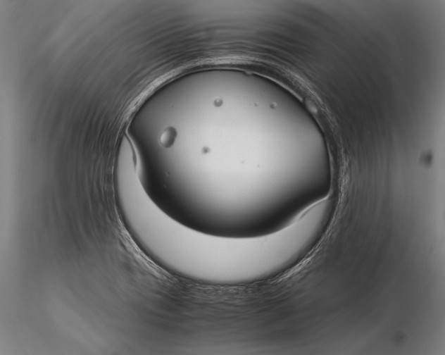 X0000116061417200912111517