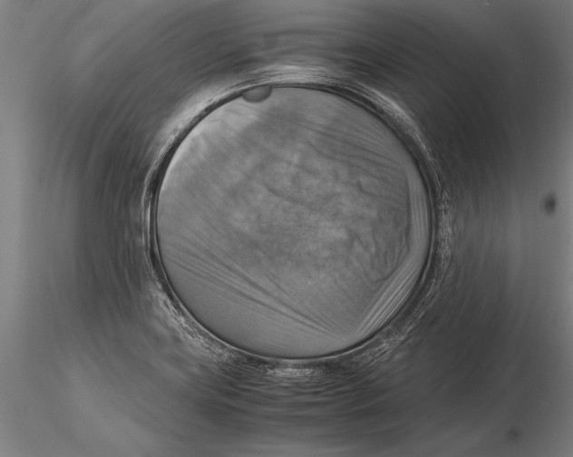 X0000116061419200912111517