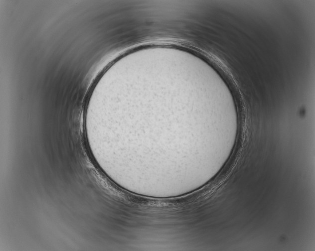 X0000116061420200912111517