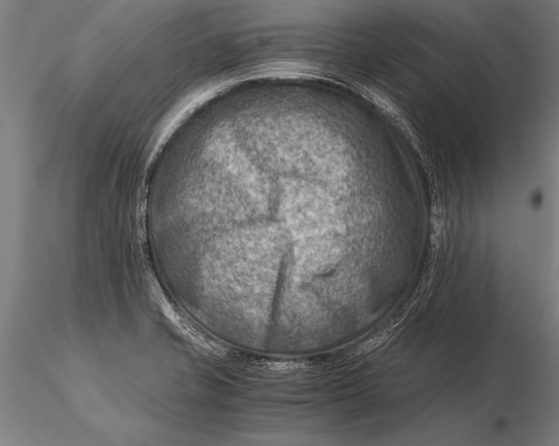 X0000116061421200912111517